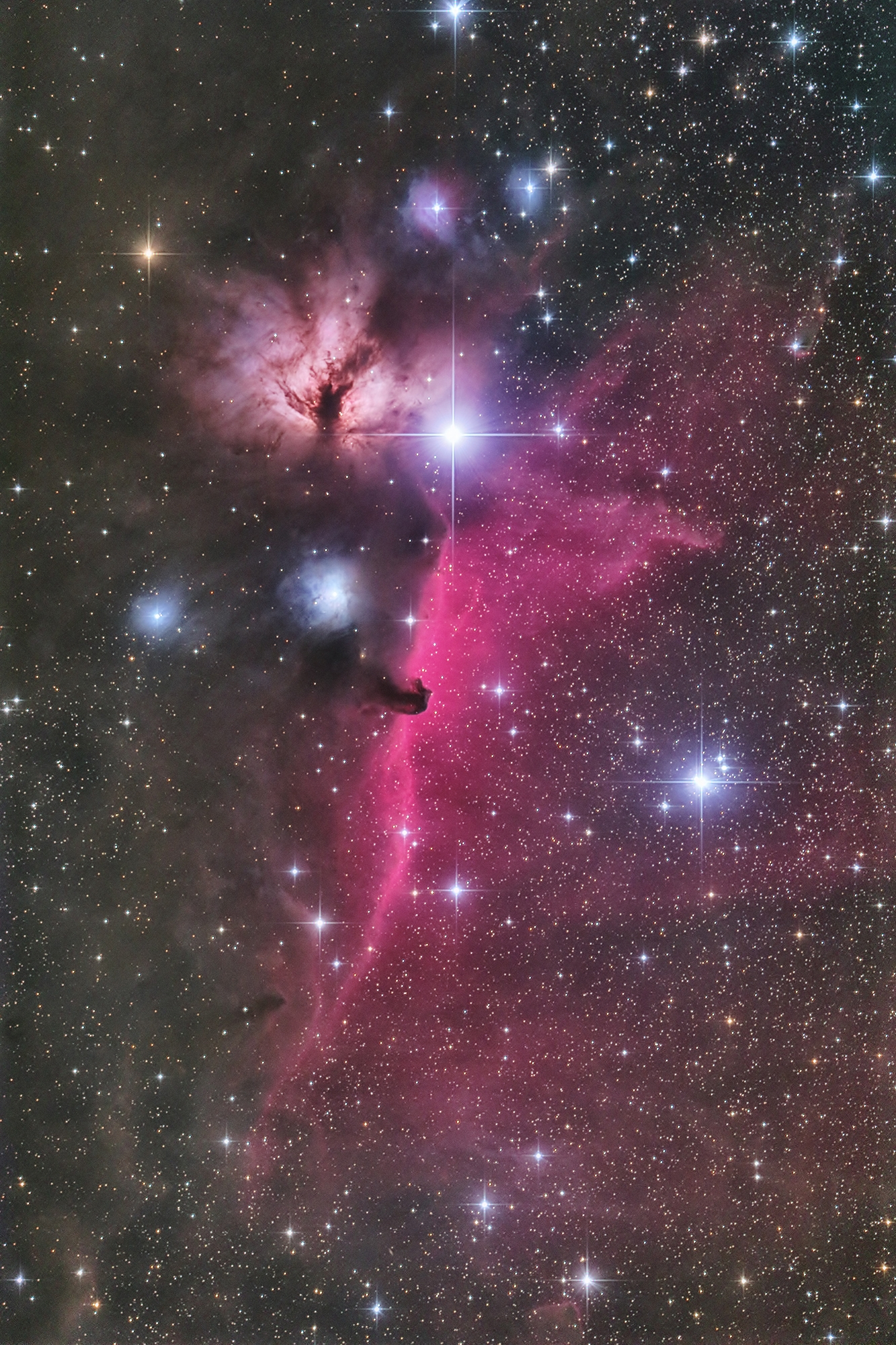 馬頭星雲と燃える木 西明石天文同好会